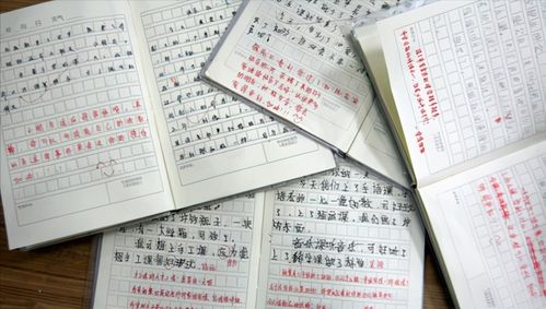 寫(xiě)情感的作文開(kāi)頭和結尾精彩部分,抒發(fā)情感的作文開(kāi)頭結尾,寫(xiě)外婆作文開(kāi)頭和結尾