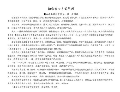 觸動(dòng)心靈的瞬間的作文開(kāi)頭
