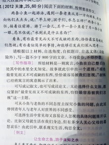 我看高三周末800字作文開(kāi)頭