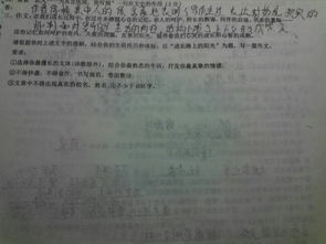 工作成長(cháng)之路作文開(kāi)頭