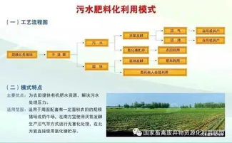 畜禽糞污資源化利用工作總結(畜禽糞污資源化利用工作總結)