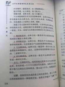 鳥(niǎo)島的作文開(kāi)頭