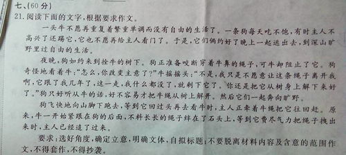 歷史值得銘記作文600字作文開(kāi)頭