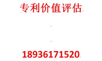 無形資產(chǎn)資產(chǎn)評估報告(無形資產(chǎn)評估報告（專利）)