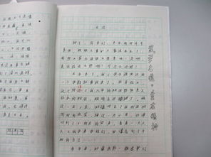 為自己喝彩作文優(yōu)美開(kāi)頭和結尾