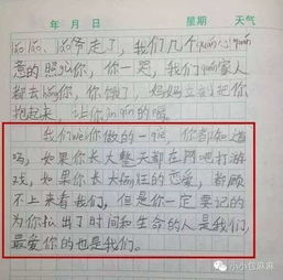 父母其實(shí)你不懂我心作文開(kāi)頭