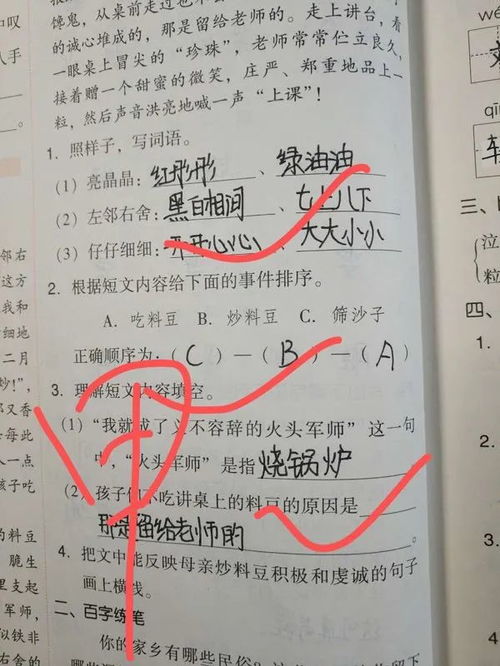 人生第一課關(guān)于老師作文開(kāi)頭