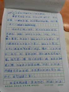 有趣的運(yùn)動(dòng)會(huì)作文二級(jí)開頭