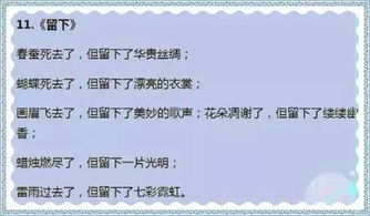 其實很棒作文開頭