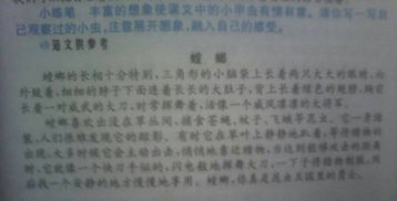 關(guān)于觀(guān)察蟲(chóng)子的作文(關(guān)于觀(guān)察蟲(chóng)子的作文)