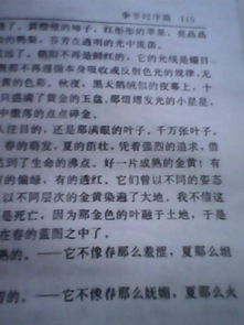 描寫(xiě)秋天的歌詞開(kāi)頭的作文題目