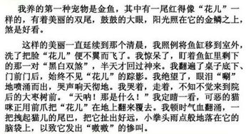 以在乎題的作文開(kāi)頭