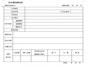 情況報告格式(情況報告格式)