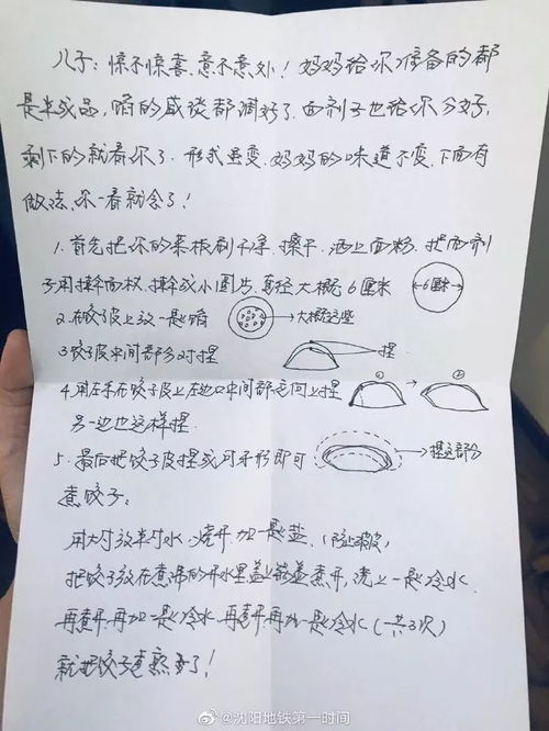 家庭包餃子大賽作文開(kāi)頭結尾