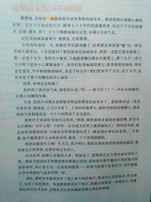 老照片的作文開(kāi)頭