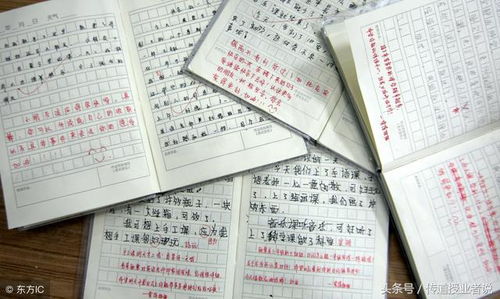 寫(xiě)事生活作文開(kāi)頭結尾