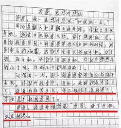 兩面派,作文,開(kāi)頭,爸爸