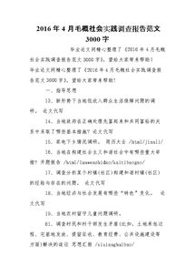 實(shí)踐調查報告的范文(實(shí)踐調查報告范文)