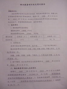 關(guān)于物業(yè)服務(wù)收支情況報告范本(資金收支管理情況自查報告)