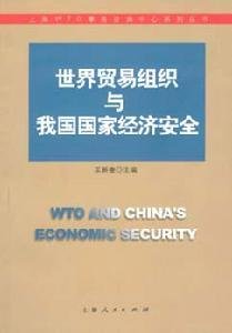 論國家經(jīng)濟安全(論國家信息化戰略)