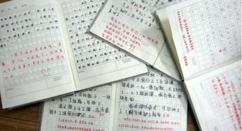 情感類(lèi)作文的開(kāi)頭方式