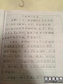 觀(guān)察金魚(yú)作文開(kāi)頭