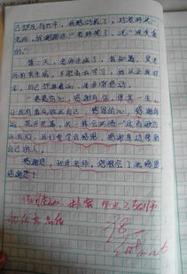 敬佩他人的作文開(kāi)頭或結尾