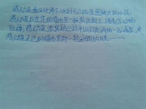 說(shuō)說(shuō)我的感動(dòng)作文開(kāi)頭
