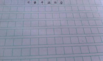 我不半途而廢作文開(kāi)頭