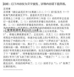 足球比賽真爽作文開(kāi)頭