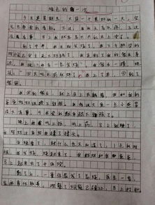 幸福作文的開(kāi)頭怎么寫(xiě)