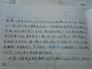 有趣的事600字作文開(kāi)頭