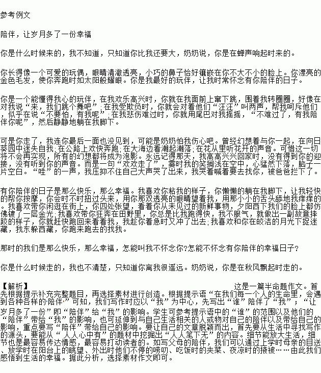 陪伴讓我多了一分溫暖作文開(kāi)頭結尾