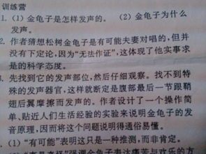 我不在懶惰作文開(kāi)頭