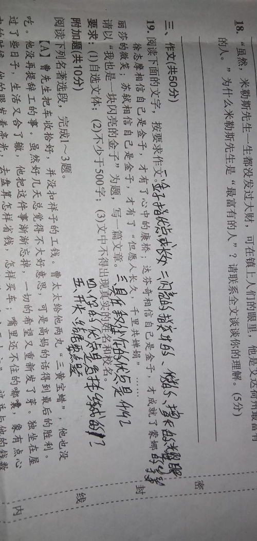 我是一塊閃亮的金子作文開(kāi)頭