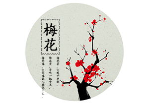 寫(xiě)梅花的作文的開(kāi)頭
