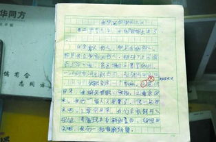 姐姐的愛作文優(yōu)美開頭