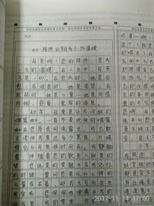 作文,高分,特長(cháng),開(kāi)頭