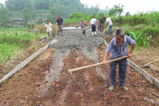 農村水泥路修路申請報告（精選）(農村水泥路修路申請報告)