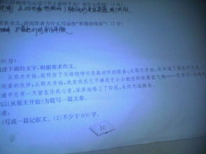 關(guān)于友情作文開(kāi)頭題記