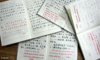 寫(xiě)實(shí)驗作文的開(kāi)頭結尾
