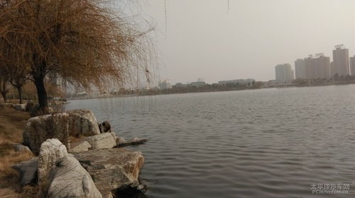 我家鄉的景物一東湖公園作文好開(kāi)頭