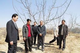 下鄉調研民情日記(拉薩下鄉日記民情日記)