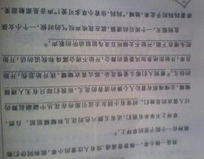 其實(shí)我懂你小草作文800字作文開(kāi)頭