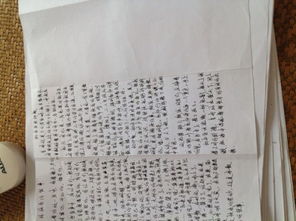 幸福的伴我行中學作文600字作文開頭