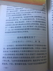 我全學(xué)會(huì )了1000字作文開(kāi)頭