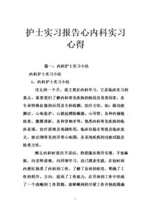 護理實(shí)訓報告范文()
