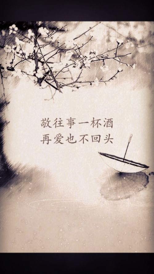 關(guān)于往事作文開(kāi)頭優(yōu)美句子