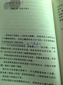 以設置懸念寫(xiě)一篇作文開(kāi)頭