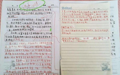 購物作文好開(kāi)頭